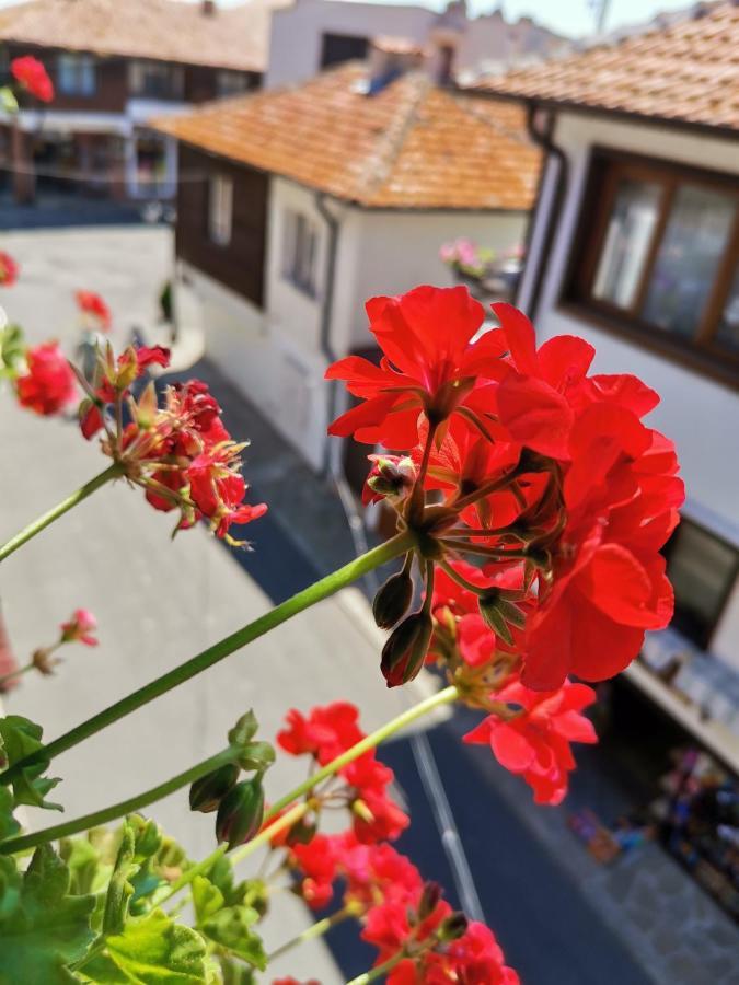 Guest Rooms Melsambria 内塞伯尔 外观 照片